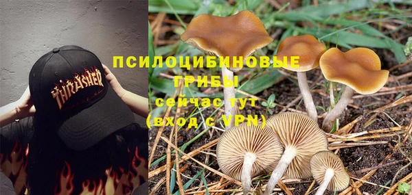 крисы Волоколамск