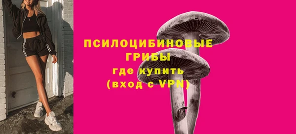 крисы Волоколамск
