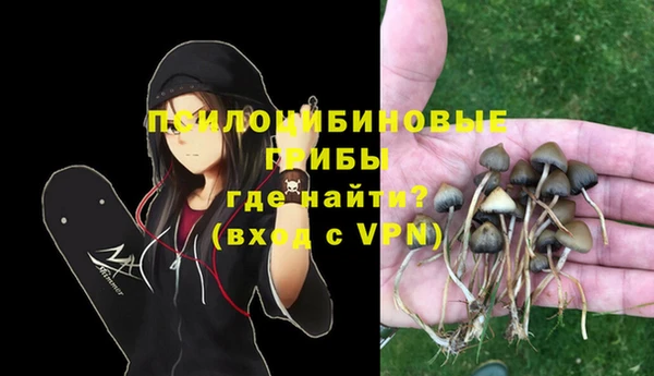крисы Волоколамск