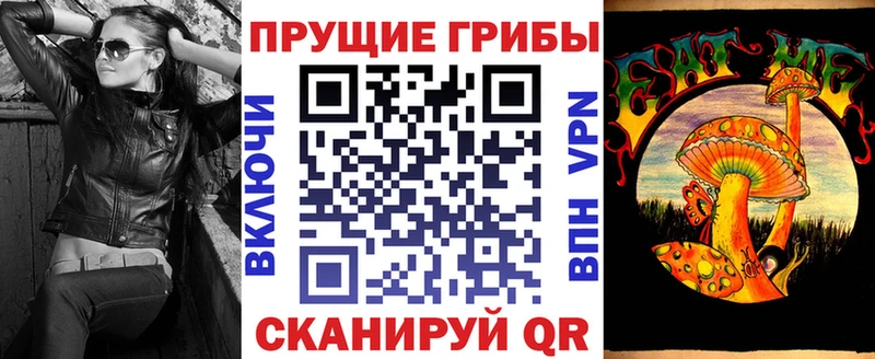 Купить  Пушкино  Галлюциногенные грибы Cubensis 