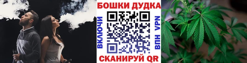 Купить закладки  Пушкино  Бошки марихуана сатива 
